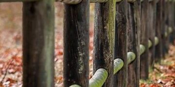 Consequatur eos quia fugiat excepturi.